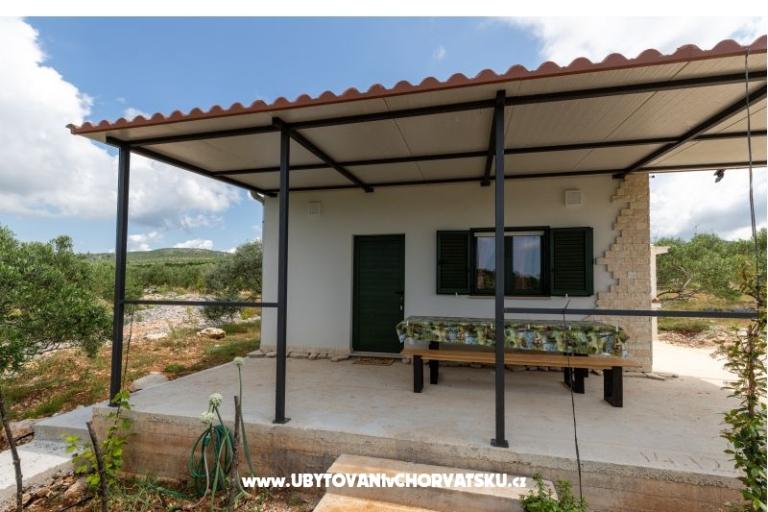 Green Dom (Dogs are welcome) – foto 10