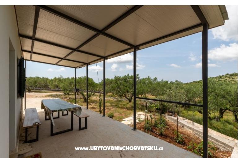 Green Dom (Dogs are welcome) – foto 11