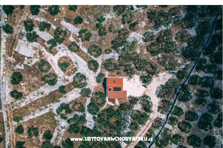 Green Dom (Dogs are welcome) – foto 2