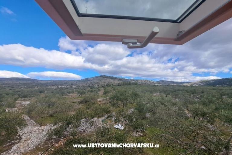 Green Dom (Dogs are welcome) – foto 7