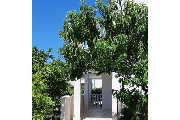 Slavko Šain – foto 2