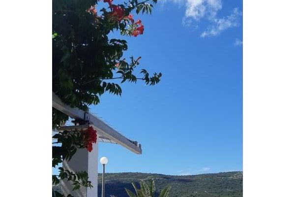 Slavko Šain – foto 9