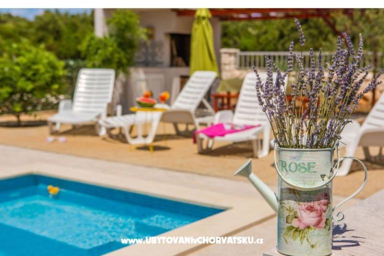 Apartamenty Vila Nena z basenem – foto 6
