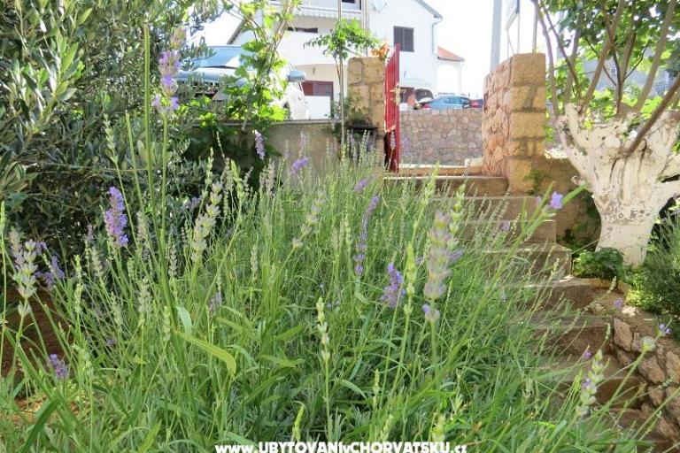 Apartamenty Marija – foto 11