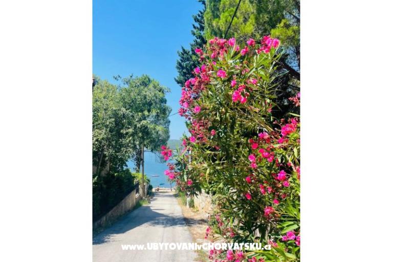 Dom wakacyjny Martina – foto 23