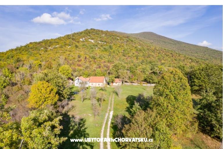 Secret forest house – foto 8