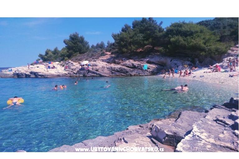 Adeksia apartment Premantura – foto 18