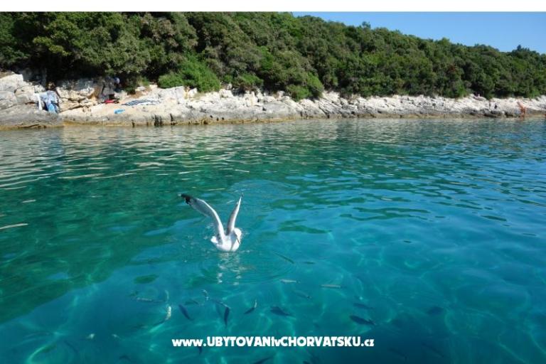 Apartamenty Ciceran – foto 16