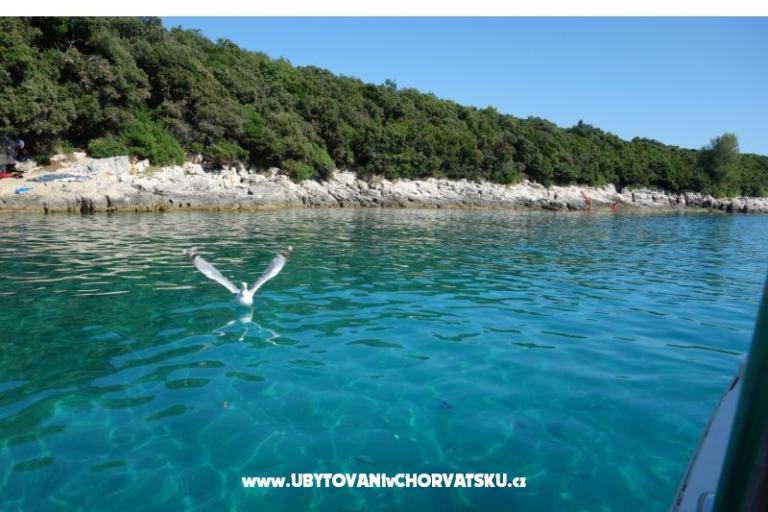 Apartamenty Ciceran – foto 30