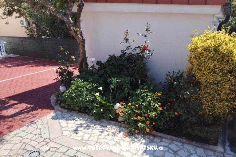 Apartamenty Mila-Casa Bianca  – foto 6