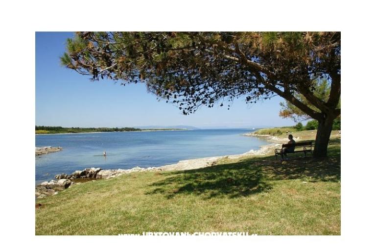 Apartamenty Tena – foto 6