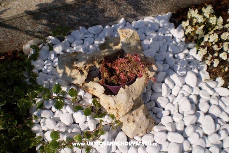 Apartamenty Tony – foto 17