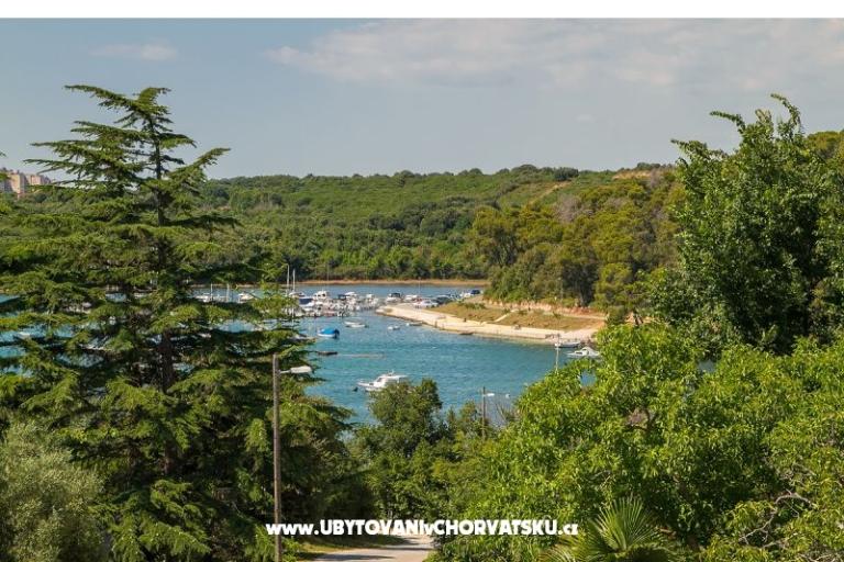 Apartamenty Tony – foto 3