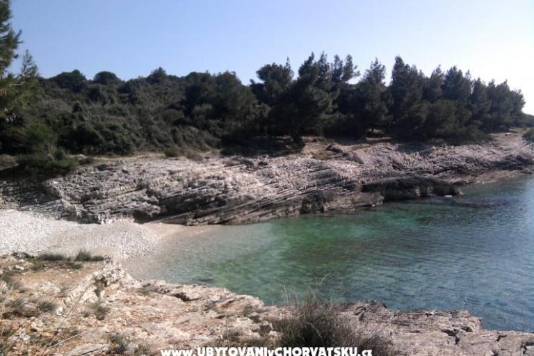 Apartamenty Croatia – foto 8