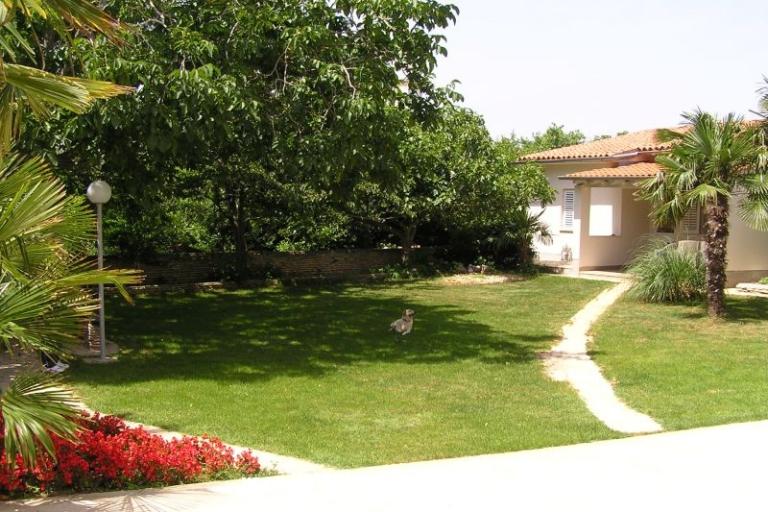 Apartamenty Paloma blanca - Oaza Reg – foto 10