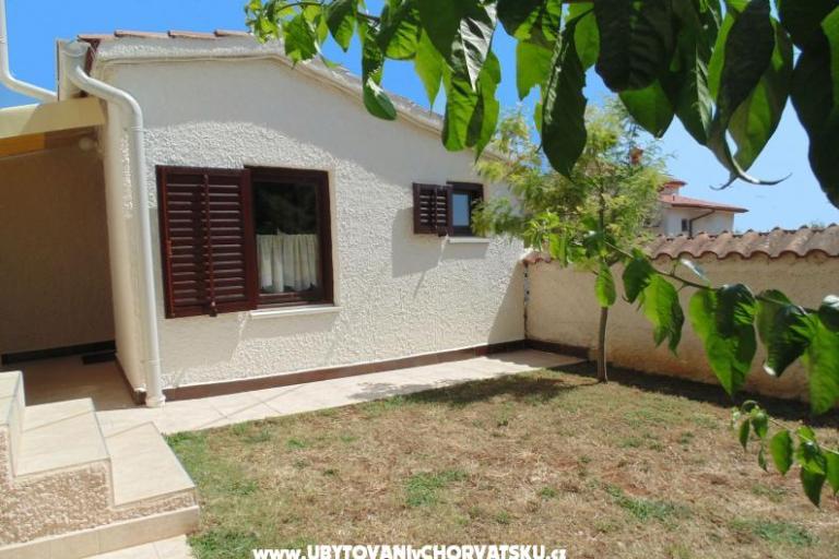 Apartamenty Regi – foto 7