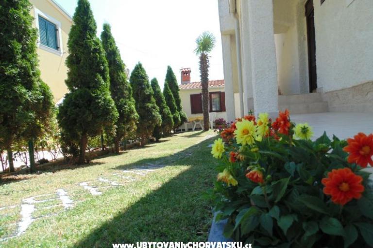 Apartamenty Regi – foto 8