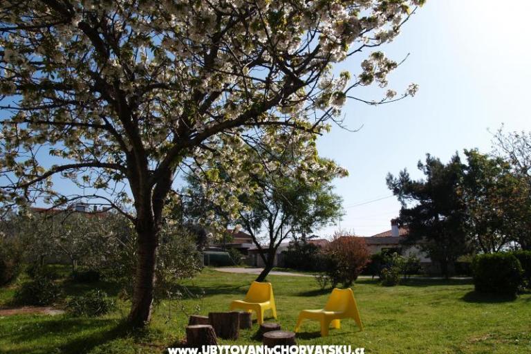 Comtemporary Apartament – foto 15