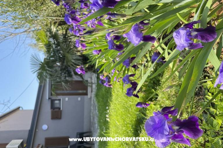 Flowers Apartament Medulin, Fucane 2 – foto 15