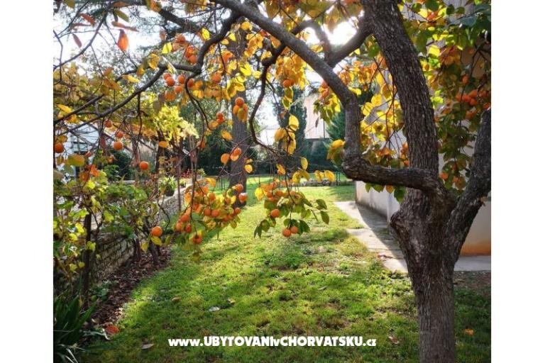 Flowers Apartament Medulin, Fucane 2 – foto 4