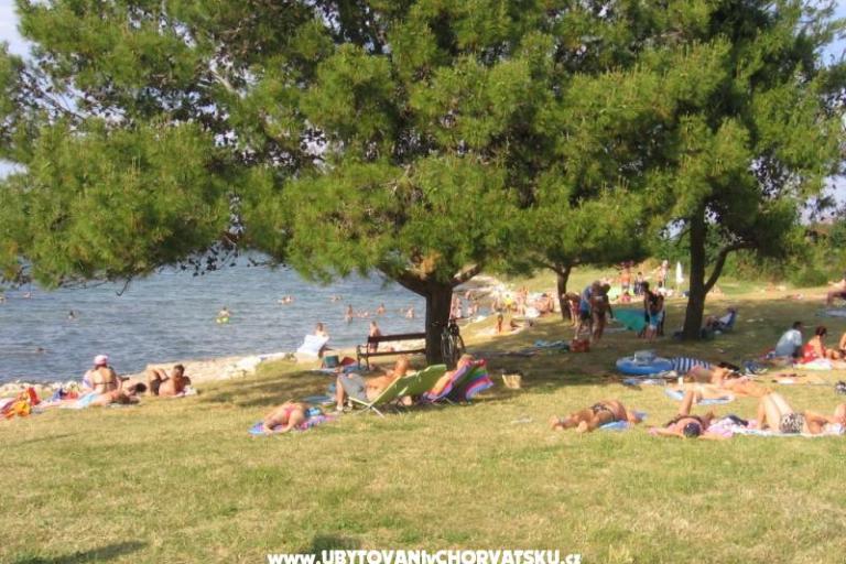 Apartamenty Tomy – foto 17