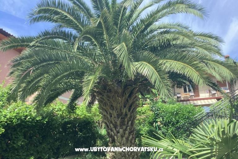 Apartamenty Rubinić  – foto 19