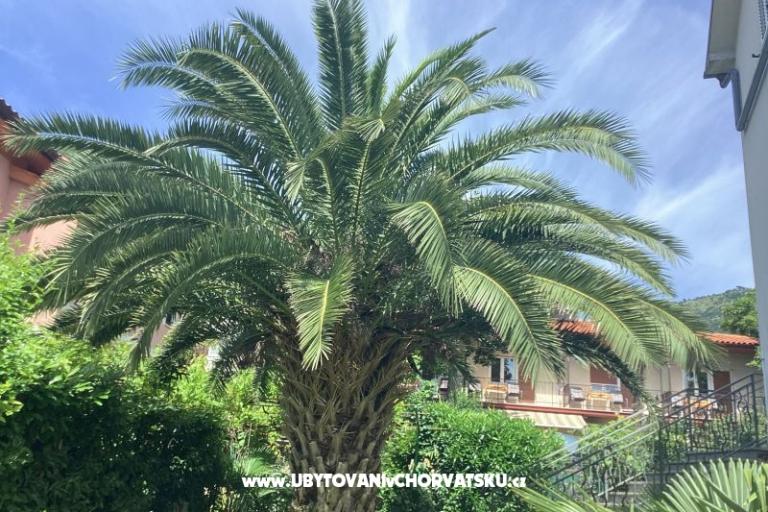 Apartamenty Rubinić  – foto 26
