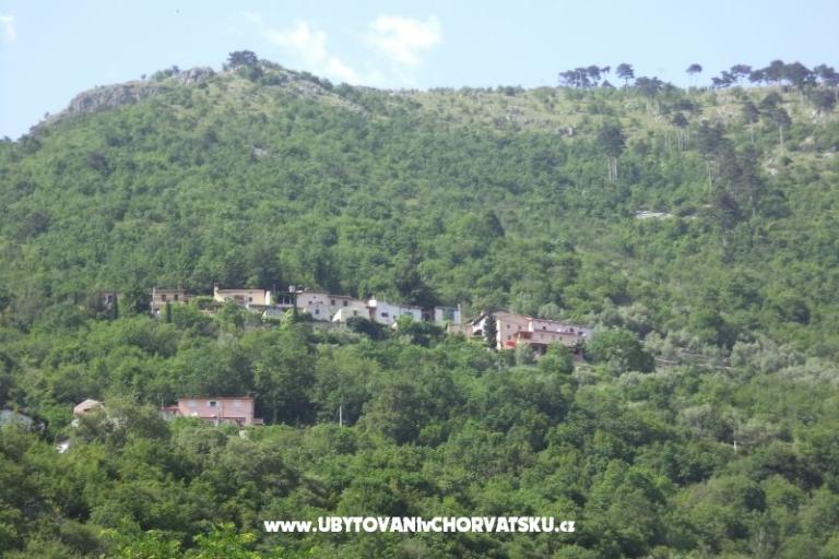 Dom wakacyjny Mickey – foto 21