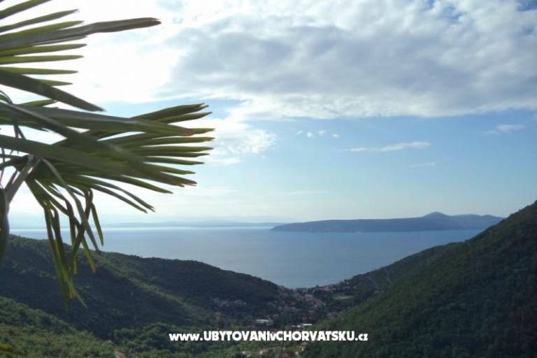 Dom wakacyjny Mickey – foto 3