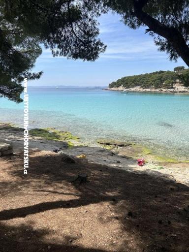 Amicaliving   – foto 18