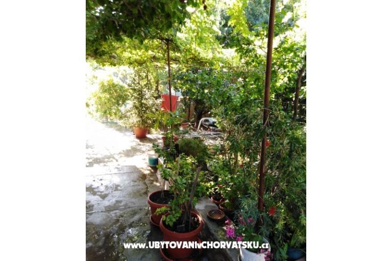 Apartament Fifi – foto 16