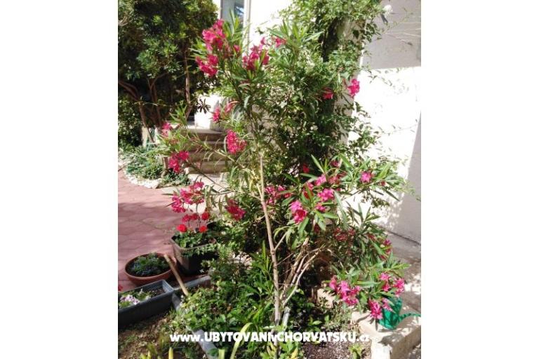 Apartament Fifi – foto 7