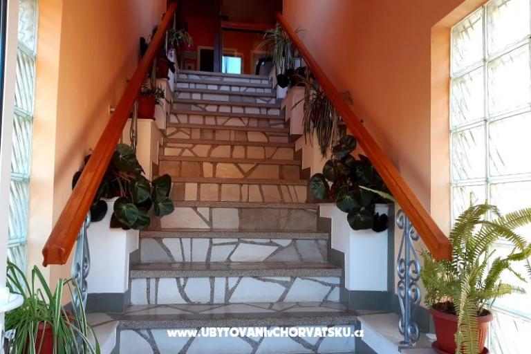 Apartamenty A.Jelovčić – foto 12