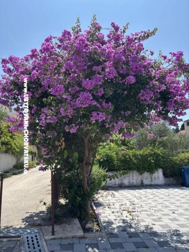 Apartamenty Kovačić – foto 15