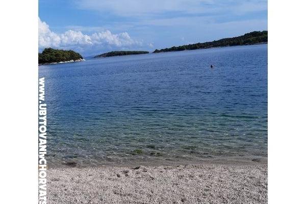 Apartamenty Stela – foto 8