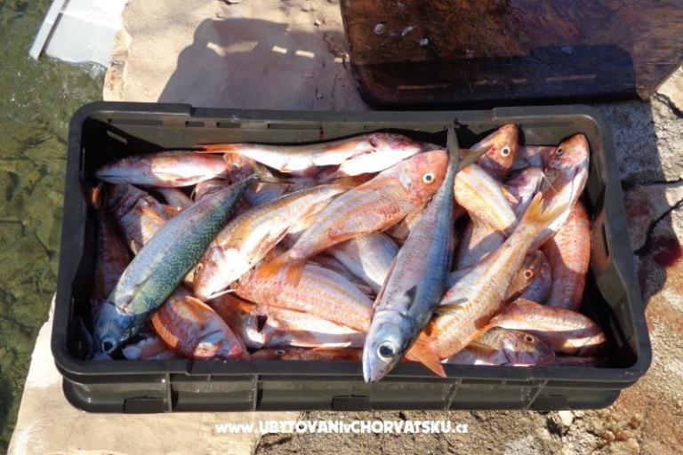 Lavsa Tri sestrice – foto 18