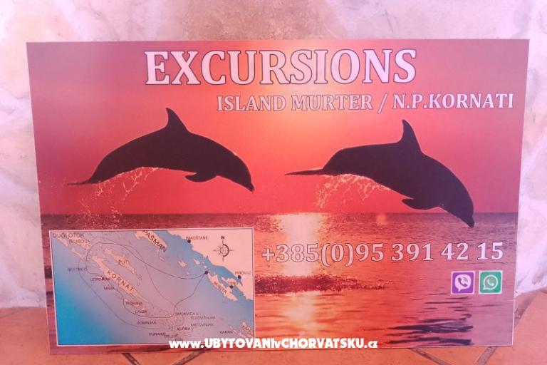 Apartamenty Mile – foto 3