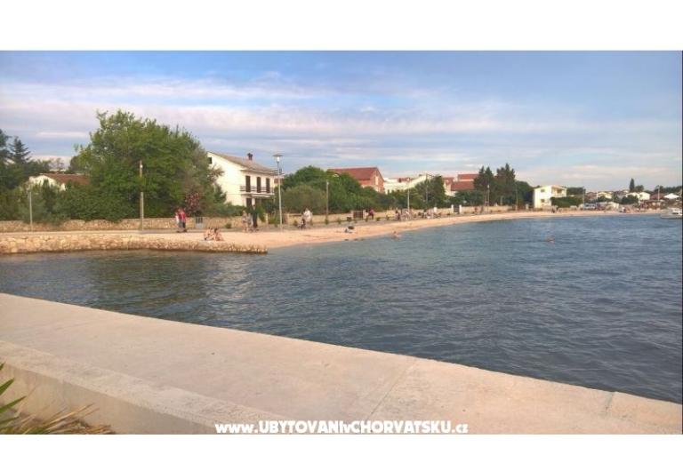 Apartamenty Vrsi - Mulo – foto 13