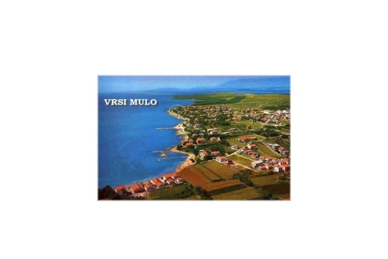 Apartamenty Vrsi - Mulo – foto 15