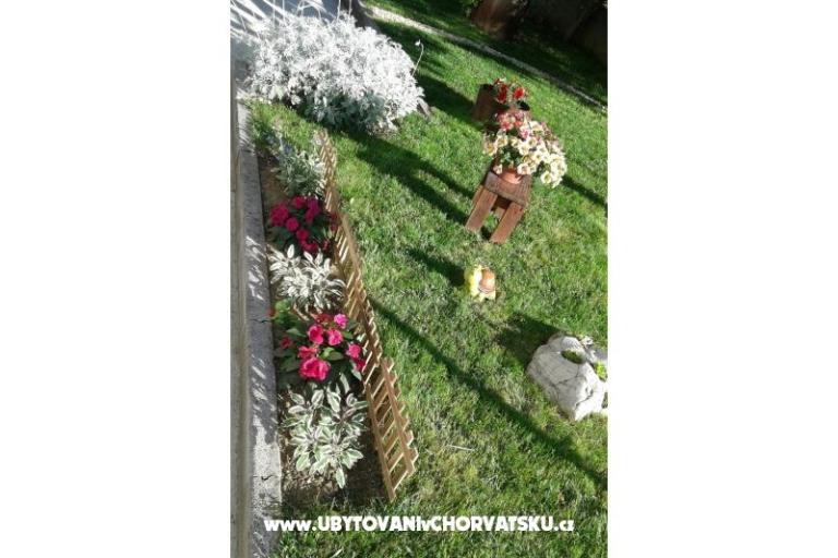 Apartamenty Anita – foto 5