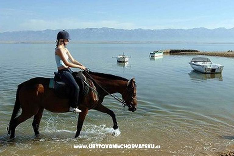 Apartamenty Casa Tea  – foto 9