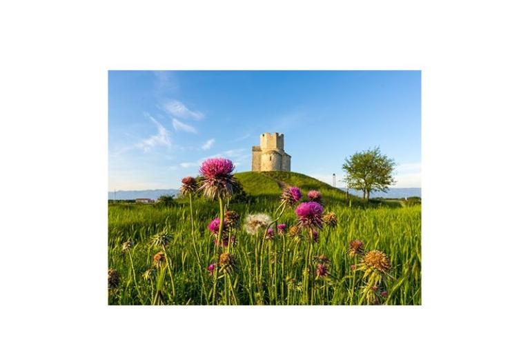 Apartamenty Elizabeta – foto 15