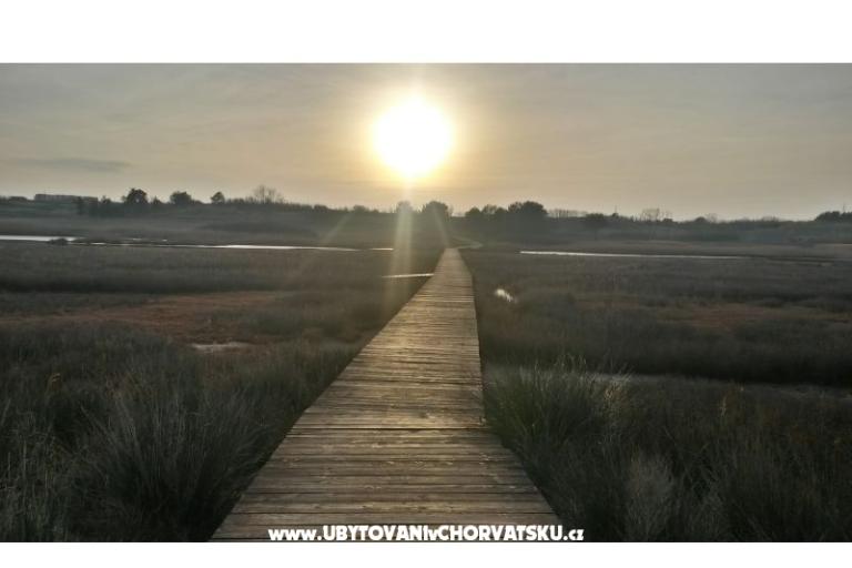 Apartamenty Ivana Nin – foto 18