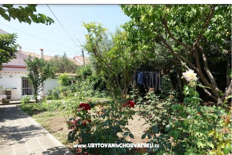 Apartamenty Nin-Island – foto 10