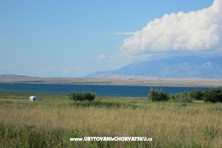 Apartamenty Roza – foto 11