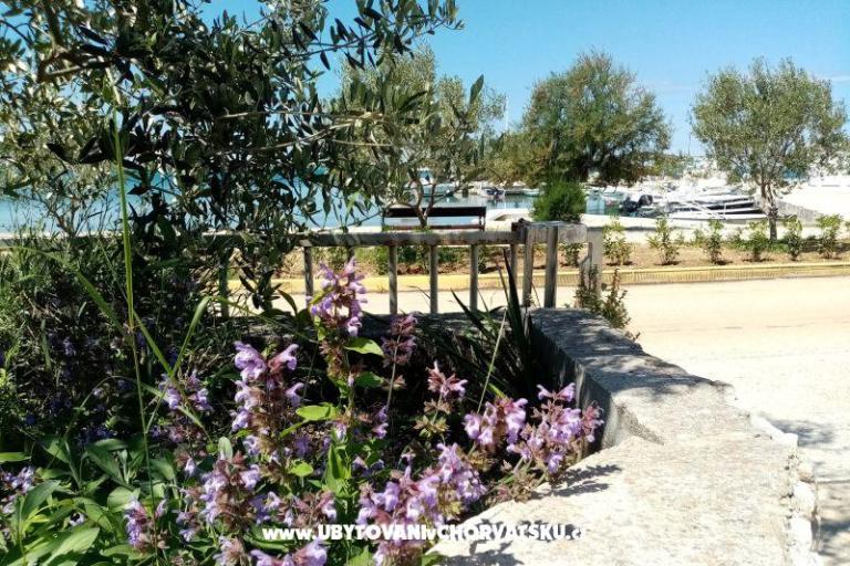 Apartamenty Skoljic – foto 12