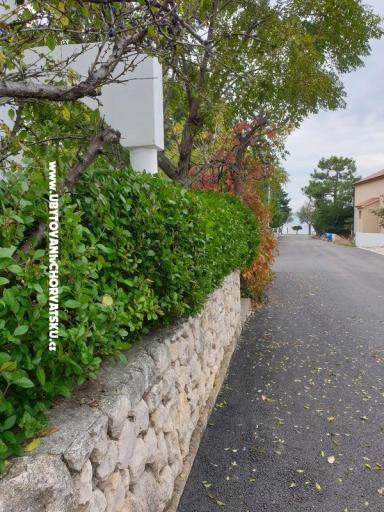 Apartamenty Ana – foto 3