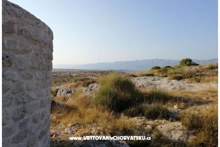 Apartamenty Seaside – foto 16