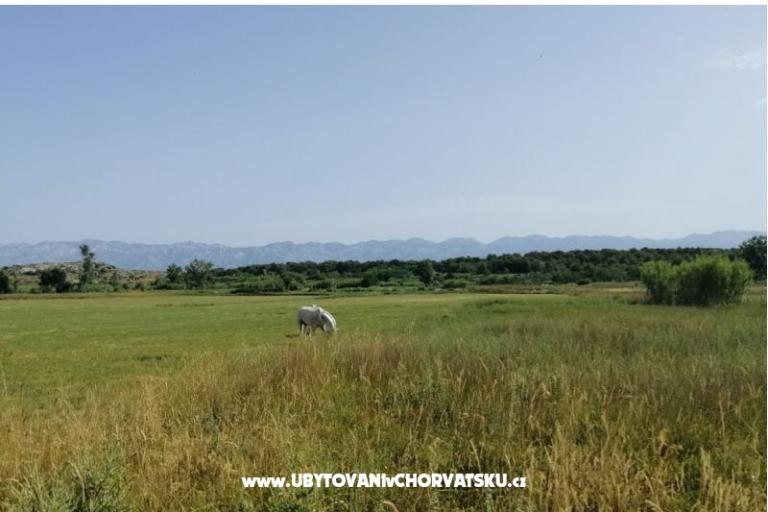 Apartamenty Seaside – foto 17