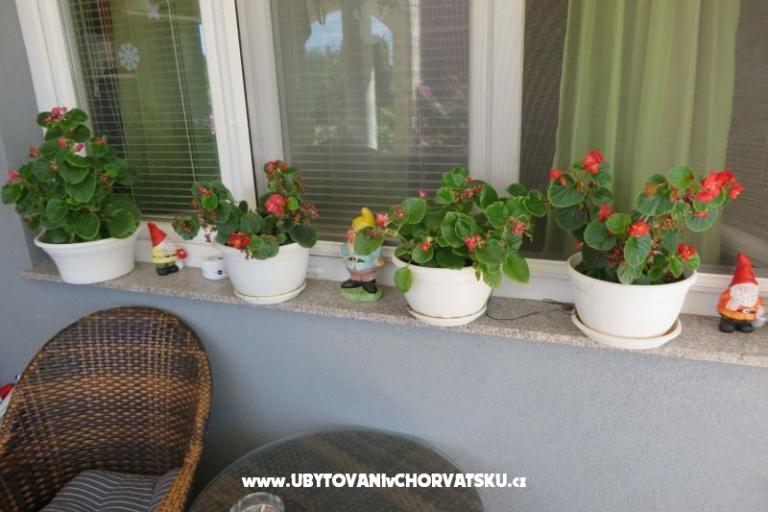 Apartamenty Renata – foto 5